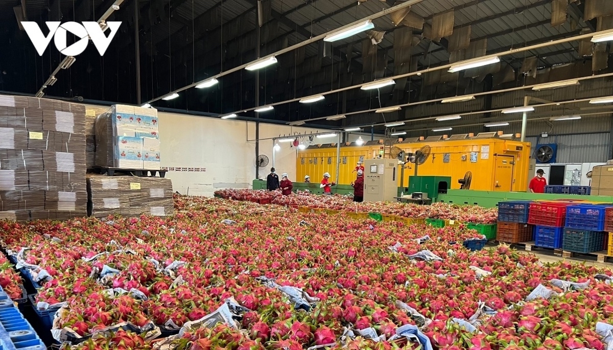 Seven-month fruit - vegetable export value beats 2022's target